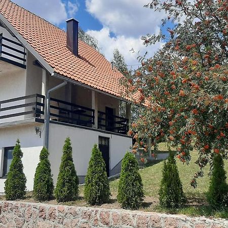 Kuca Sa Pogledom Na Tornik Βίλα Ζλάτιμπορ Εξωτερικό φωτογραφία